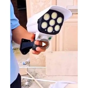 Solar-powered motion sensor security light